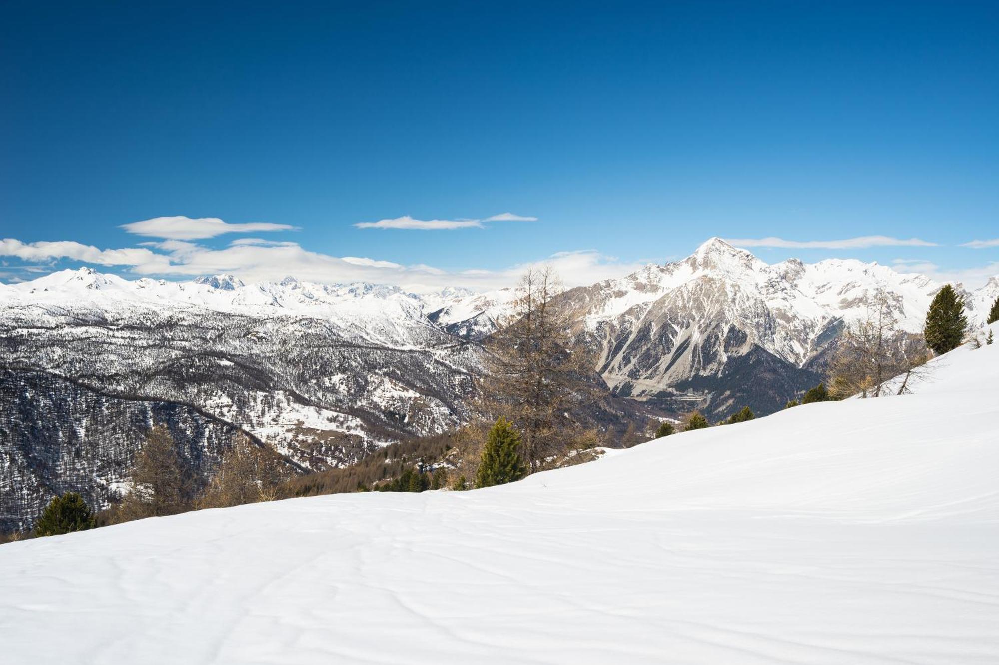 Appartamento La Marmotta Mountain Retreat - Happy Rentals Клавиере Екстериор снимка